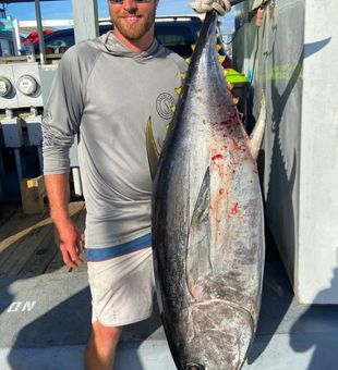 Hold on tight for the Yellowfin Tuna ride! 